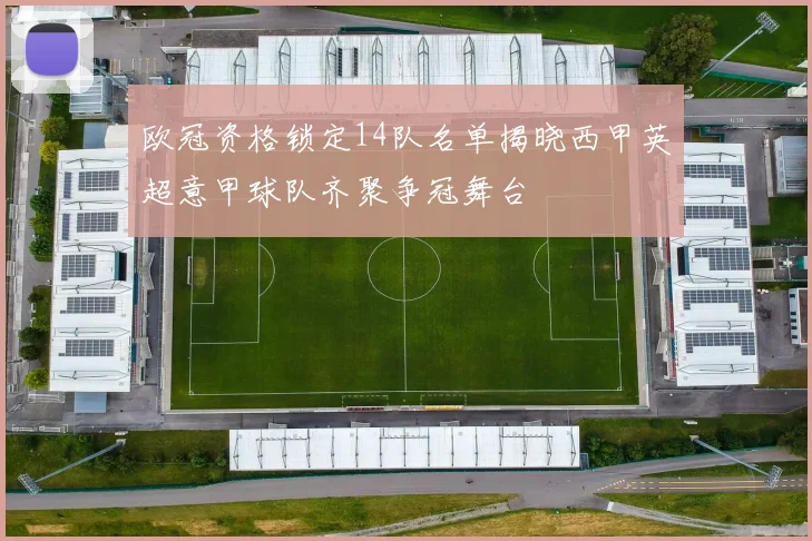欧冠资格锁定14队名单揭晓西甲英超意甲球队齐聚争冠舞台