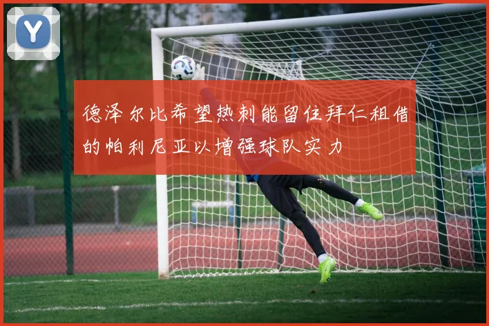 德泽尔比希望热刺能留住拜仁租借的帕利尼亚以增强球队实力